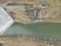 عجلون : الامطار الغزيرة تمهد لبساط اخضر وتفجر الينابيع