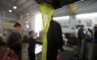 الاردن يوقف دخول زيت الضفة