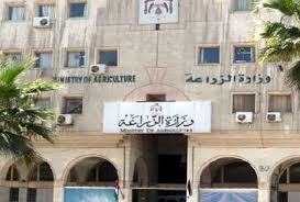 احالة 3 موظفين في الزراعة الى النائب العام