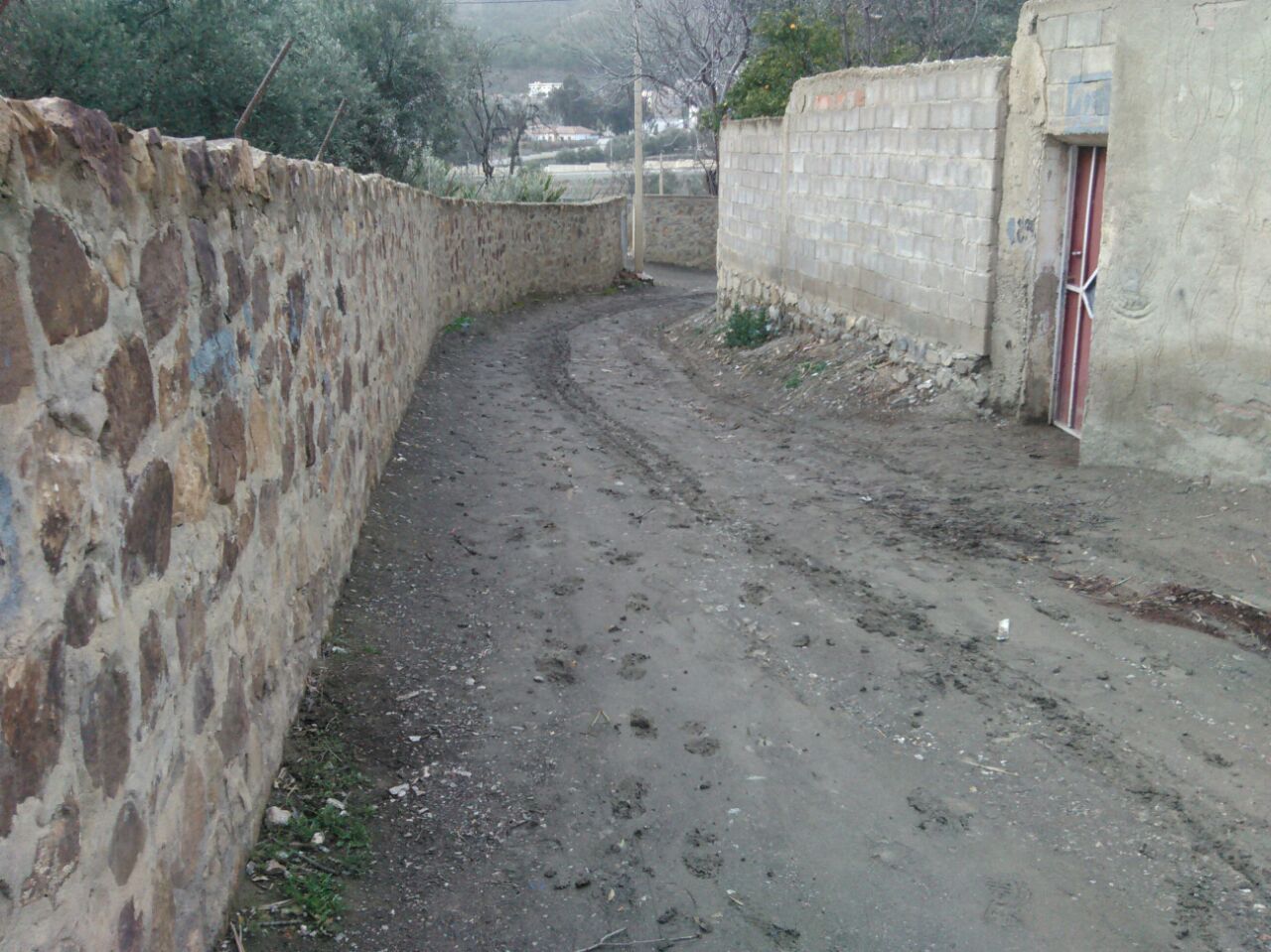منازل  بلا كهرباء ولا طريق معبد في  بالمزار الشمالي