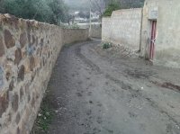 منازل  بلا كهرباء ولا طريق معبد في  بالمزار الشمالي
