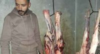 بالصور .. اتلاف لحوم بقري فاسد في اربد