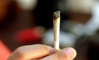 ضبط 12 طالبا يروجون المخدرات في جامعة حكومية