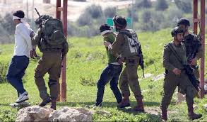 الاحتلال يعتقل 14 فلسطينيا