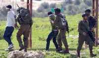 الاحتلال يعتقل 14 فلسطينيا