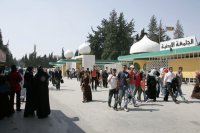 نتائج الانتقال بين الجامعات والتخصصات