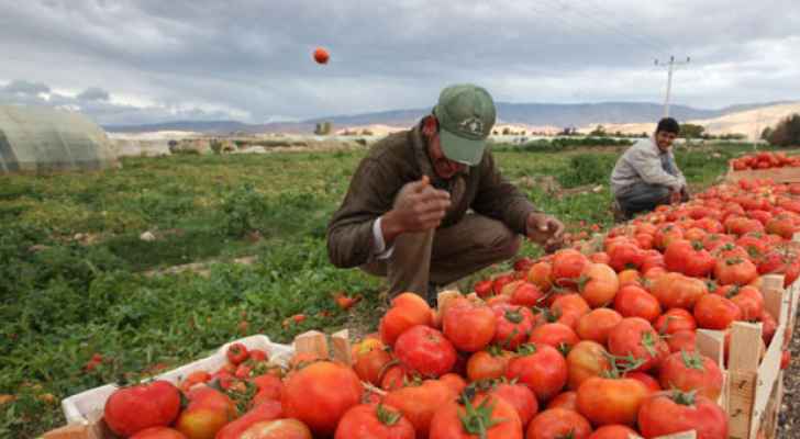 انخفاض الصادرات الزراعية الأردنية العام الماضي