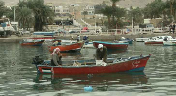92 طن كمية الثروة السمكية التي تم اصطيادها من خليج العقبة