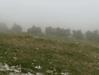 زخات من المطر في انحاء الاردن