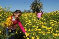 اجواء ربيعية دافئة
