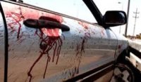 ضبط سائق تسبب بوفاة طفلة إثر دهسها بالبحر الميت