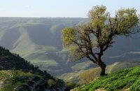 ارتفاع على الحرارة السبت والأحد