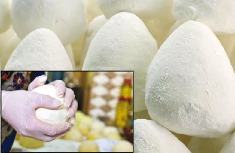 توقعات بانتاج 900 طن من الجميد الكركي