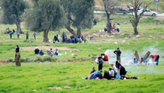 اجراءات للحد من حوادث الرحلات