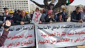 لجنة الدفاع عن المزارعين: تسعة أيام تفصلنا عن انتهاء المهلة للرد على مطلبنا