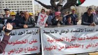 لجنة الدفاع عن المزارعين: تسعة أيام تفصلنا عن انتهاء المهلة للرد على مطلبنا