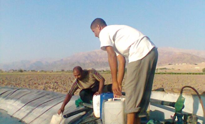 1500 بركة زراعية بالأغوار الجنوبية مصائد للأطفال