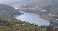 سلطة وادي الاردن تطلق مشروع المزرعة النموذجية