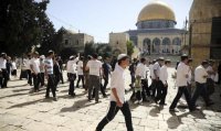 "مكافحة المخدرات " تدرس حلقة "صح يا صلاح"