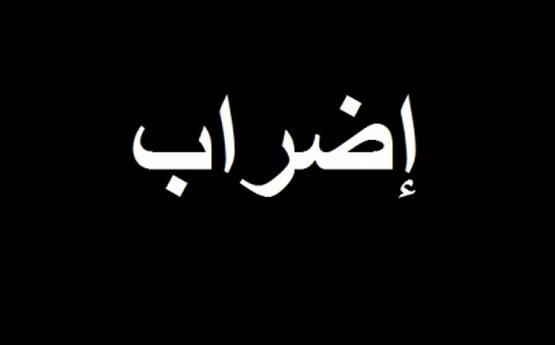 غيشان: الإضراب حق للأردنيين جميعا