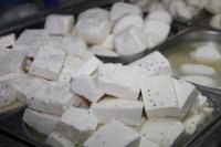 ضبط معمل يخلط الأجبان بمواد محظورة بمأدبا
