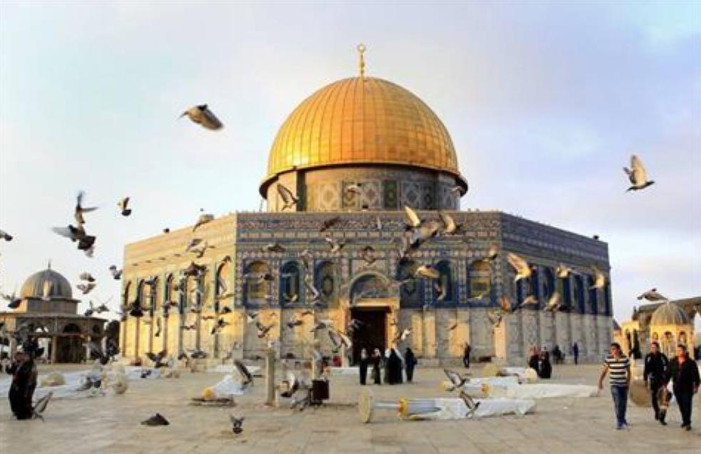 في المسجد الأقصى.. طيور تطرب السامعين وحواصل لا تجوع