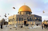 في المسجد الأقصى.. طيور تطرب السامعين وحواصل لا تجوع