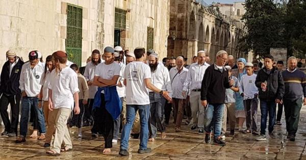 30 مستوطنا يقتحمون الأقصى من "باب المغاربة"