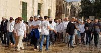 30 مستوطنا يقتحمون الأقصى من "باب المغاربة"