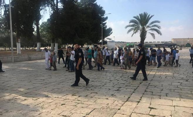 اقتحامات واسعة للمستوطنين المتطرفين لباحات الأقصى