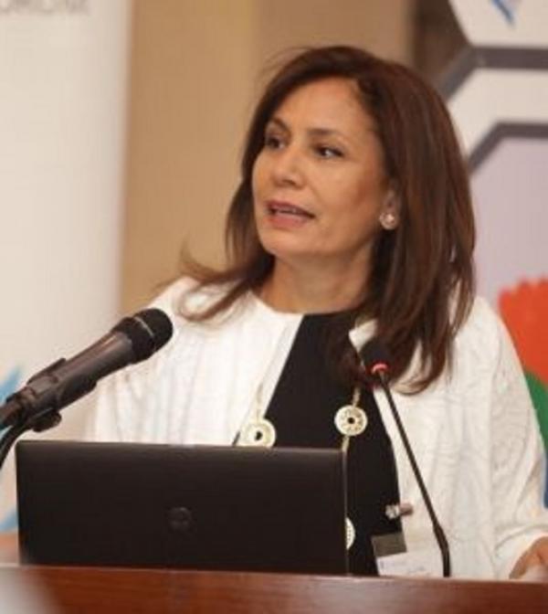 زواتي: استخدام الغاز في الصناعة يخفض الكلف التشغيلية 20 الى 50 %