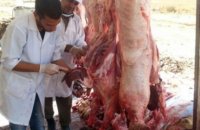 الخلايلة: لا يجوز إعطاء الجزّار جزءاً من الأضحية كأجر