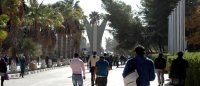 التعليم العالي يطلب من الجامعات التمهل في اعلان قوائم الموازي