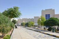 تشكيلات أكاديمية في"تقنية الطفيلة" (اسماء)