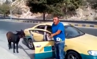 بالفيديو .. الأصفر يحتج بطريقة ساخرة