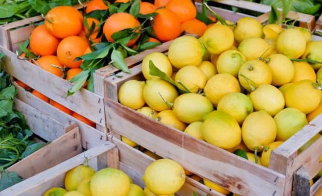 الأغوار الشمالية: الأمن يضبط 300 صندوق حمضيات مسروقة من مزرعة