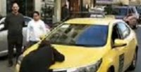 تحويل متسولة وسط البلد لمستشفى الفحيص
