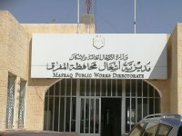 "زراعة المفرق" تحتفي باليوم الوطني لقطف ثمار الزيتون