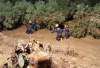 مصدر رسمي: لم نتلق بلاغا من إسرائيل بفقدان 3 من سياحها