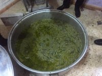 اربد: ضبط تلاعب وغش بزيت الزيتون.. شاهد