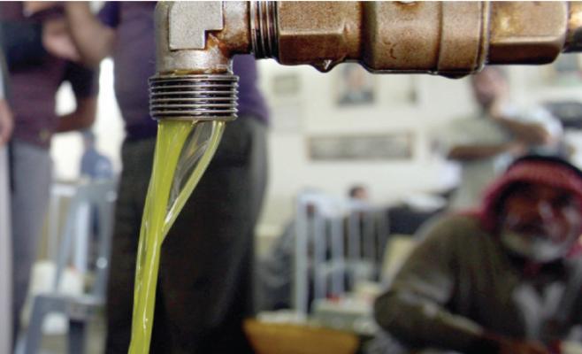 ضبط 80 تنكة زيت زيتون مغشوش في إربد