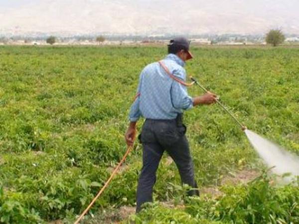 صلاح "يسخر من راموس".. وكلوب يعلّق بغضب