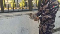 الحكومة تنوي سحب مشروع قانون حق الحصول على المعلومة من النواب