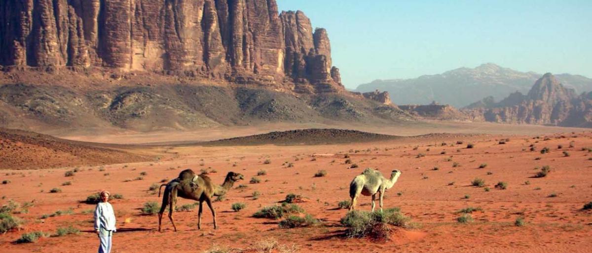 10ملايين دينار لتطوير منطقة رم