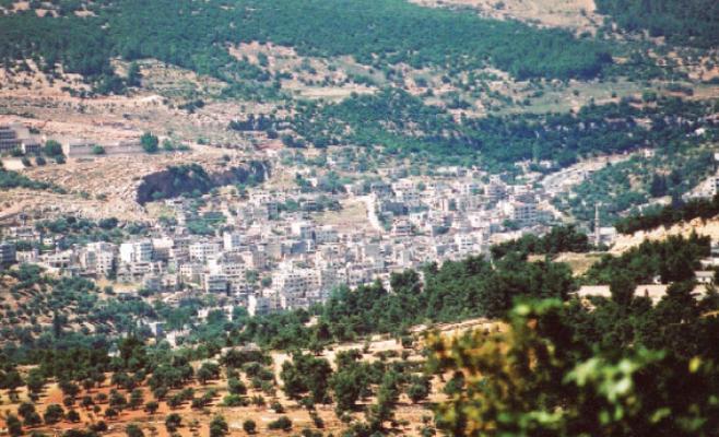 "التلفريك".. أول مشروع في "عجلون التنموية"