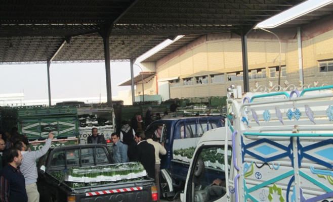 رغم انخفاضها بـ"العارضة".. أسعار الخضار والفواكة بـ"العلالي"