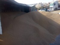 بالصور.. تدهور شاحنة قمح في خريبة السوق