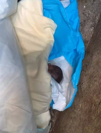 العثور على طفل حديث الولادة في أربد 