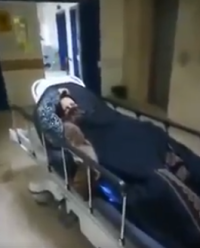 مسنة تنتظر المصعد لساعات طويلة في مستشفى الأمير فيصل -فيديو