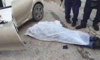 وفاة دهسا في الطفيلة